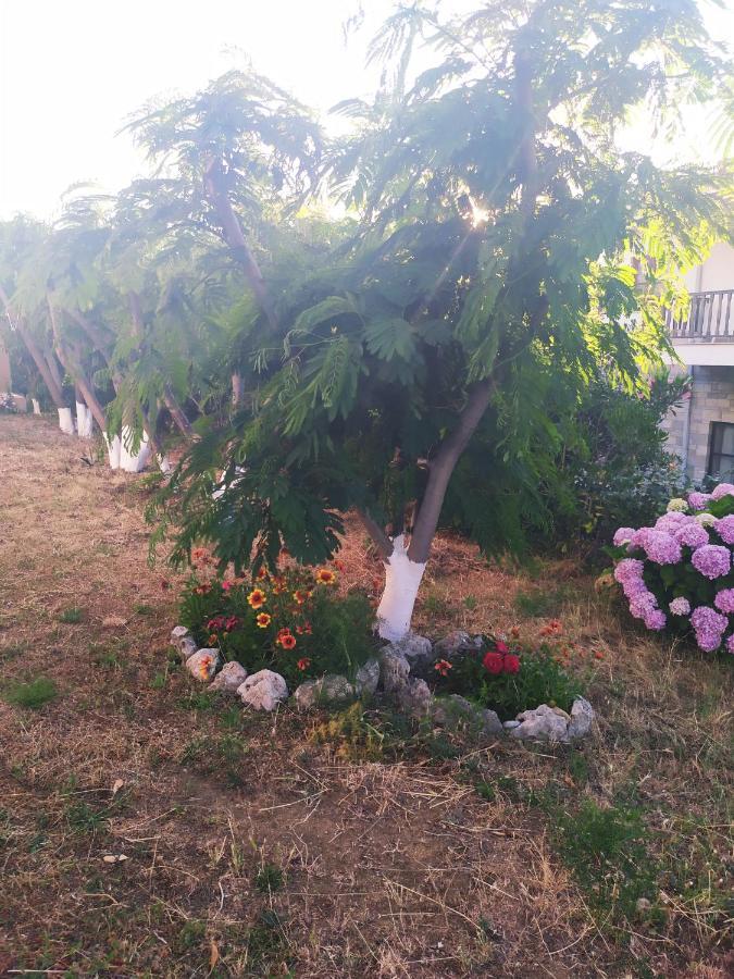 Panorama Palaiοpolis 호텔 Palaiopoli  외부 사진