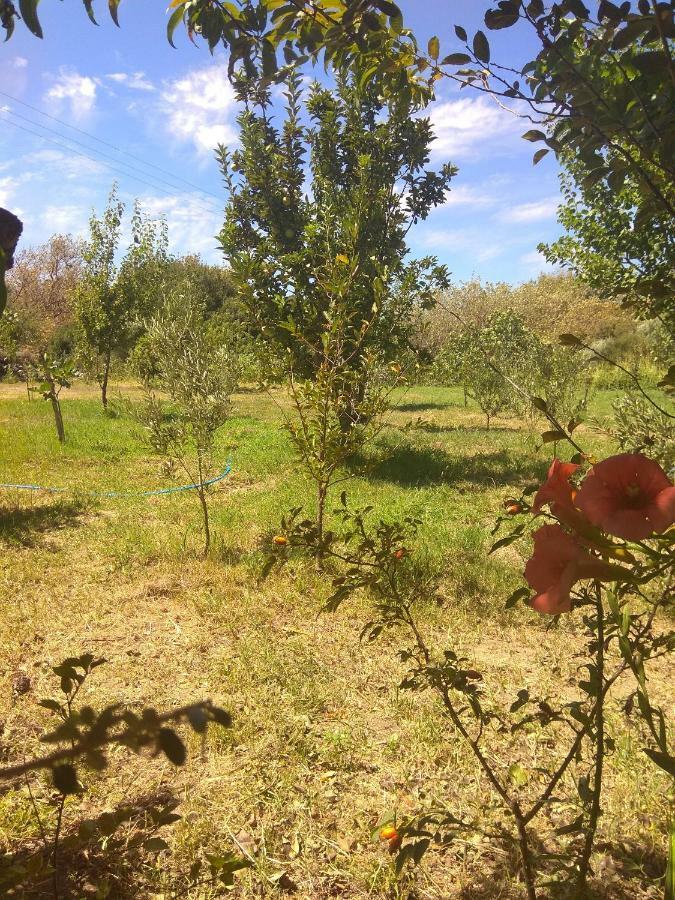 Panorama Palaiοpolis 호텔 Palaiopoli  외부 사진